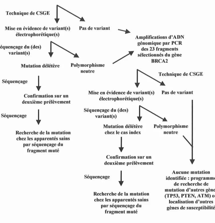 Figure 6. Stratégie d'identification de mutation germinale d'une famille répondant aux critères cliniques définis par l'expertise lNSERM-FNCLCC