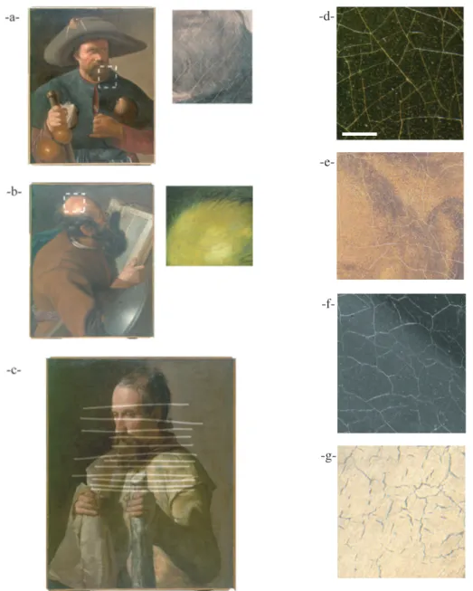 Fig. 1.4 – Quelques morphologies de craquelures tir´ees de la s´erie des Apˆotres de Georges de La Tour.