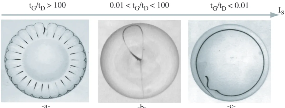 Fig. 1.8 – Vues de dessus de gouttes de suspension collo¨ıdale, prises 15min apr`es leurs d´epositions