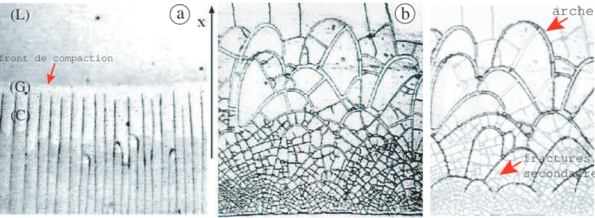 Fig. 1.9 – Croissance directionnelle de fractures au cours du s´echage d’un gel de particules de Latex (a) et de nanolatex (b)
