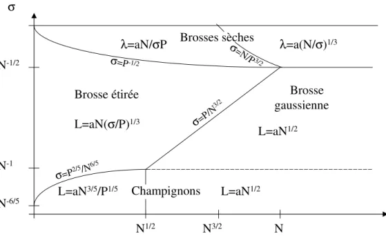 Fig. 3.4 – R´ egimes d’interp´ en´ etration d’une brosse et d’un fondu [62].