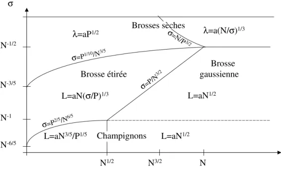 Fig. 3.9 – R´ egimes de p´ en´ etration d’une brosse dans un ´ elastom` ere.