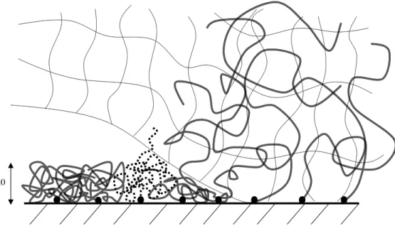 Fig. 4.7 – Succion des chaˆınes lors de la propagation d’une fracture.