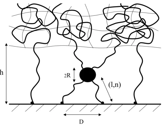 Fig. 4.8 – Agr´ egat de deux chaˆınes lors de leur extraction.
