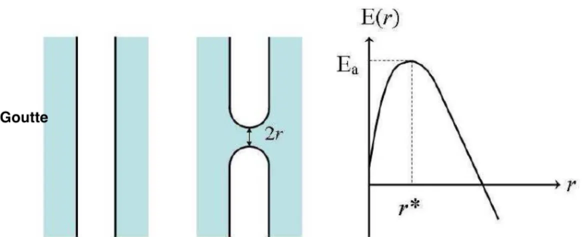Fig  1.14  –  Processus  de  nucléation  d’un  canal.  Evolution  de  l’énergie  du  canal  en  fonction  de  son  rayon