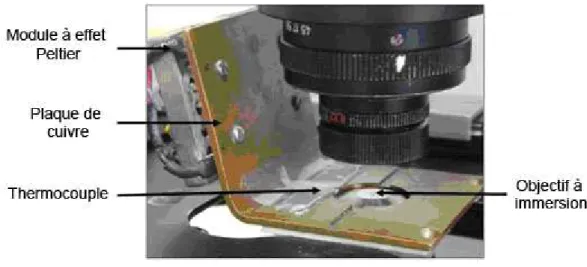 Fig 2.10 – Platine à effet Peltier adaptée au microscope ; fabrication : atelier CRPP 