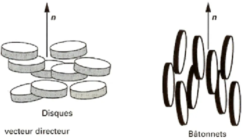 Figure 2: Orientation du directeur dans une phase cristal liquide de type nématique pour des disques et des  bâtonnets