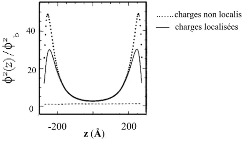 Fig 1-3_(4). Résolutions numériques pour l’adsorption de polyélectrolytes entre deux  surfaces chargées