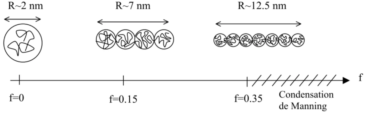 Fig 3-2_(2). Chaîne de PAA en solution diluée en fonction du taux de charge. 