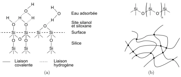 Figure 2.1  a) Surface de silice sur laquelle des molécules d'eau sont adsorbées.