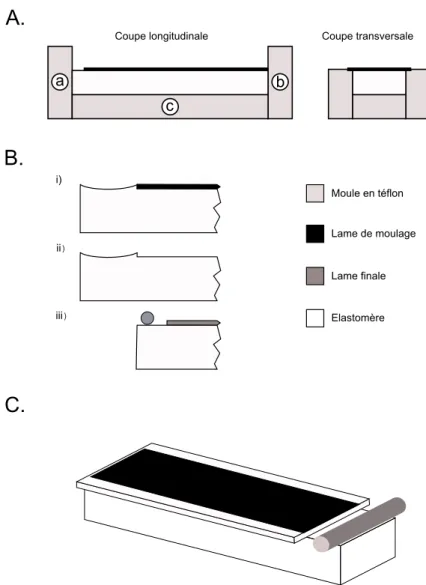 Figure 2.4  A. Le PDMS est réticulé dans un moule en Téon au contact d'une