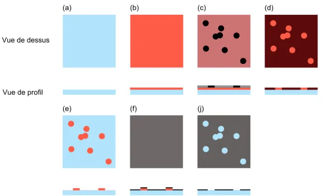 Figure 2.5  Les diérentes étapes conduisant à une lame dont la surface présente