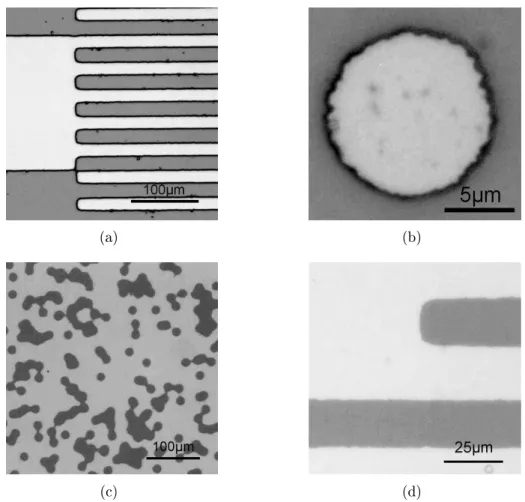 Figure 2.7  Diérents motifs imprimés sur une lame de verre. Les zones clairs sont