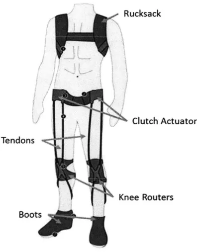 Figure 2.1  Concept drawing  of poly-articular exotendon  suit.