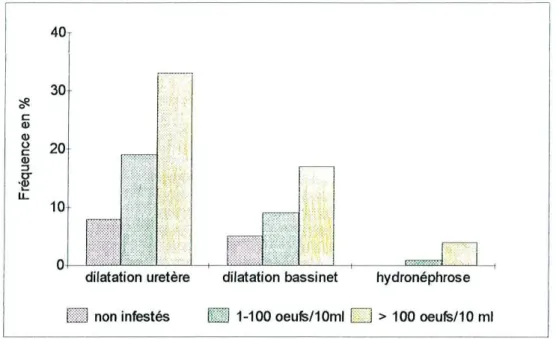 Figure 13 : R épartition des lésions r énales en fonction de l'int ensité d e l' excrétion des œufs