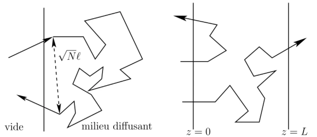 Fig. 1.2 – Approximation de diffusion. A gauche : un chemin de diffusion multiple.
