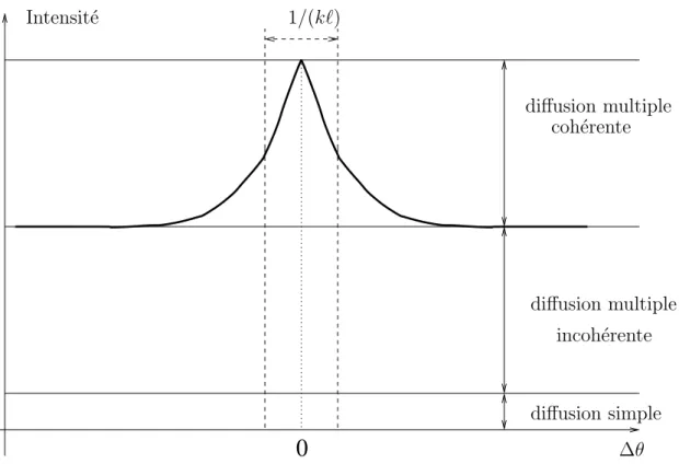 Fig. 1.9 – Allure du cˆ one CBS(vue en coupe) en fonction de l’angle par rapport