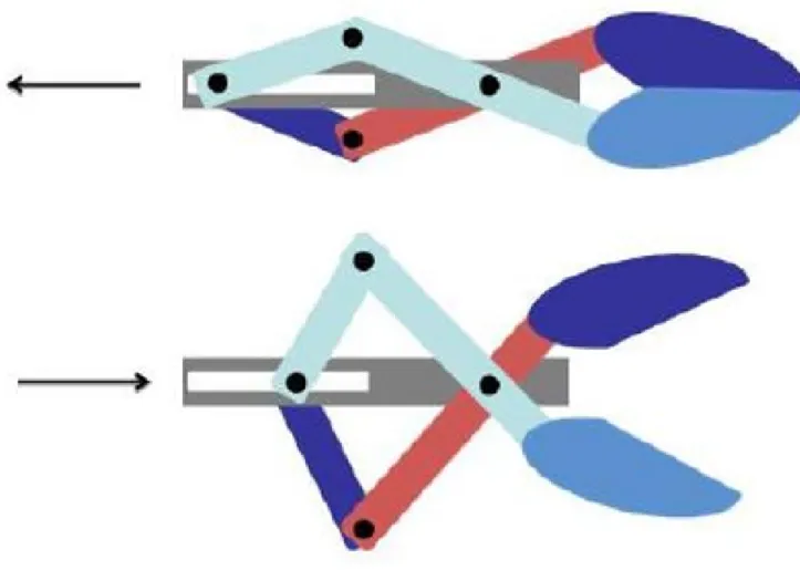Figure 3. Forceps design concept
