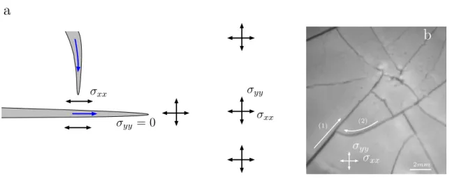 Fig. 1.18 – (a) Sch´ema explicatif de la connexion de deux fractures dans un champ de contraintes biaxiales