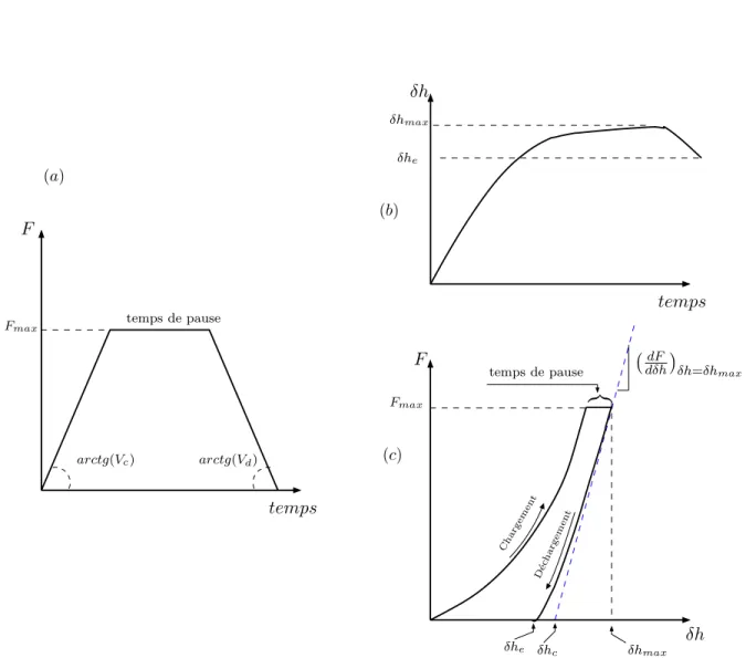 Fig. 3.2 – Courbes repr´esentatives d’un test de microindentation. (a) Variation du chargement appliqu´e