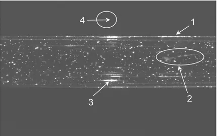 Figure 7 : Image brute avec : 1- dépôt de particule à la paroi, 2- rayure de la surface extérieure du  tube, 3- réflexions dues aux parois internes du tube, 4-bruit de fond proprement dit de l’image (gris)