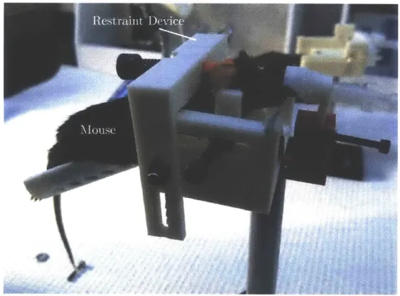 Figure  1.1:  Prototype  mouse  restraint device.