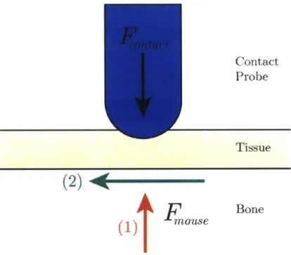 Figure  2.2:  Applicable  forces  in  a  contact