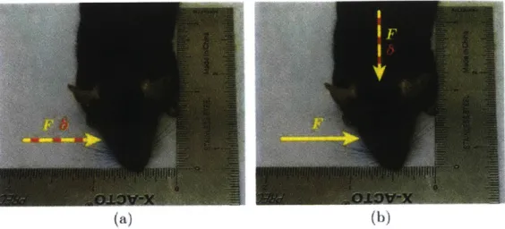 Figure  2.5:  Desired  force-displacement  inputs  and  output  measurements  for  (a) compression  stiffness  and  (b)  shear stiffness