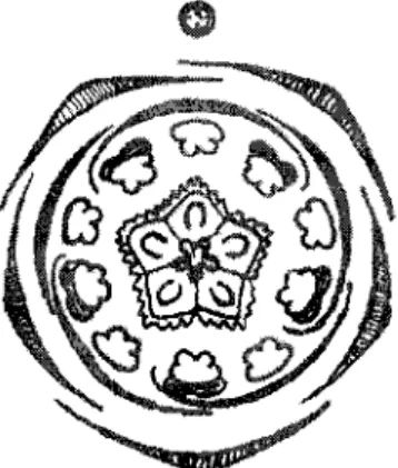 Diagramme floral de Tribulus terrestris (14)
