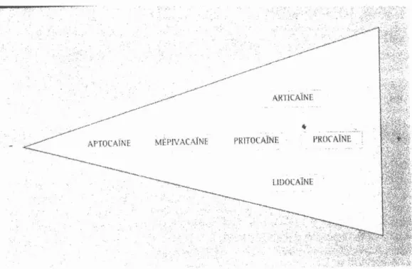 Tableau 5 : Gradient de l'action vasoconstrictrice des molécules d'anesthésiques locaux d'après S