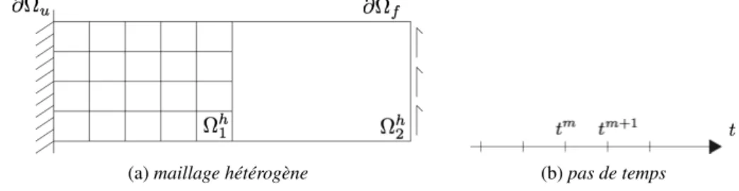 Fig. 1 – Discrétisation du domaine par approche monolithique