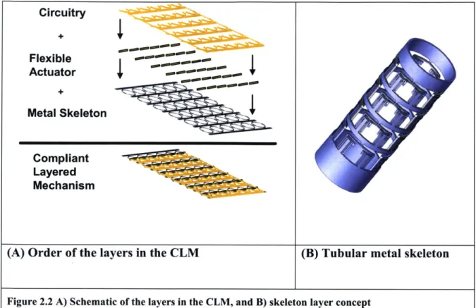 Figure 2.2  A)  Schematic  of the layers  in the CLM,  and B)  skeleton  layer concept
