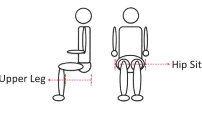 Figure  2:  Shows the width of a human's hips when sitting down  (hip  sit) and the distance  between the  back of the  calf and lower back  (upper leg).