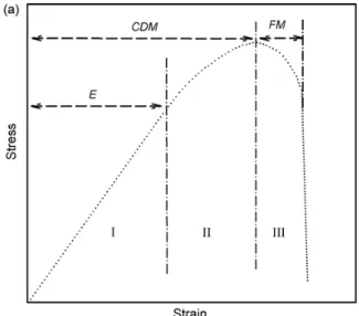 Figure 6 : Présentation des trois phases successives de la courbe contrainte/déformation menant à la rupture de  l’os