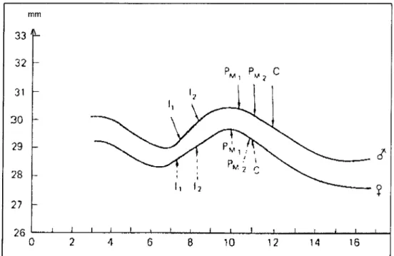 Figure 2: Variation de la longueur moyenne d'arcade au maxillaire chez le garçon et la fille (d'après MüüRREES, 102 modifié par LAMüRLETTE, 73)