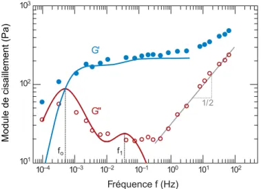 Figure 1.7 – Spectre dynamique du module de cisaillement d’une mousses liquide.