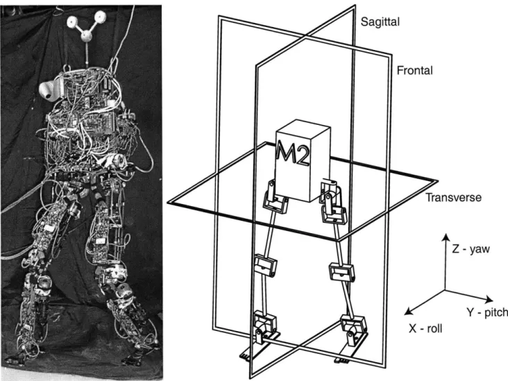 Figure  4-1:  A  photo  of the  completed  robot  and  a joint  schematic  view of  the robot