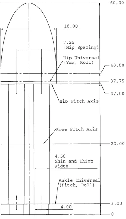 Figure  4-2:  The  dimensions  of the  biped in  the frontal  plane.  The  body  and  links  are  approximately axially  symmetric  about  their  longitudinal  axis