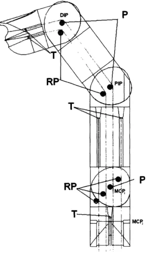 Figure 11:  Orthogonal view  of tendon routing.  This  coupling  allows  for  the  entire  finger  to be  actuated by a  single  axis