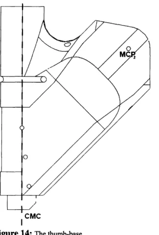Figure  14:  The thumb-base  functionality;  once  again,  this  perfectly mimics the human  hand