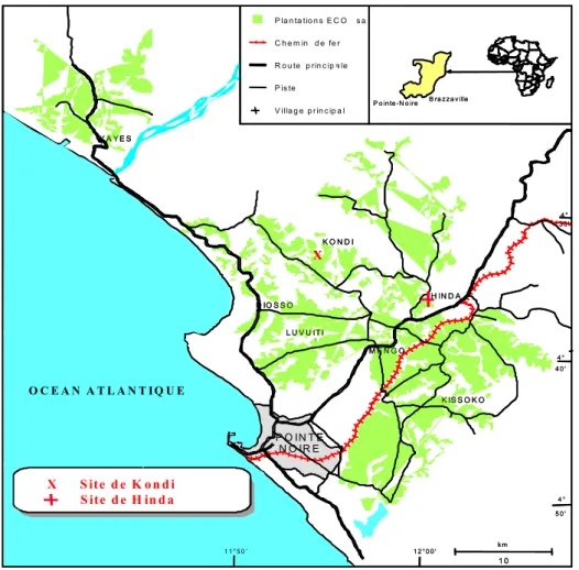Figure 5. Situation géographique des plantations d’Eucalyptus. Site de Hinda et Kondi 