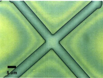 Figure  28:  Optical image  of patterns created  in  a  nanoparticle  colloid of gold  after being  spun at 2000  RPM  for 90 seconds.