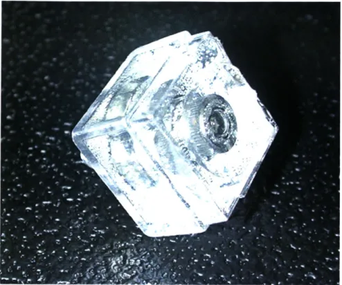 Figure  36: Optical  image  of a  fixed  stamp.  PDMS was cast around  a  bolt within  a plastic specimen  box with raised features  exposed.