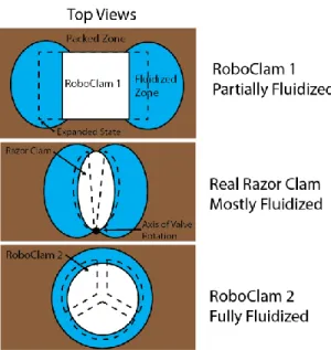 Figure  1: FLUIDIZED ZONE CROSS-SECTION. This figure shows  a  top  view  of  RoboClam  1,  a  real  razor  clam,  and  the  RoboClam  2  design  (not  to  scale)