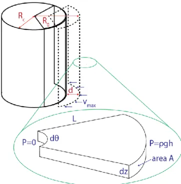 Figure  2:  FLUID  CONTROL  VOLUME.  This  figure  shows  a  small  wedge shaped control volume of fluid at the wall of RoboClam as it is  contracting