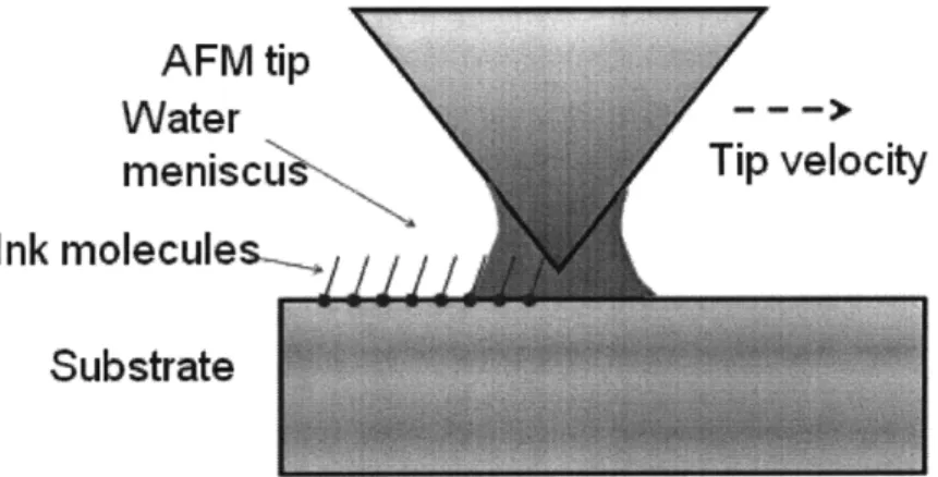 Figure 3: DPN  Schematic:  molecules  are transported from the AFM  tip to the  substrate via capillary  transport