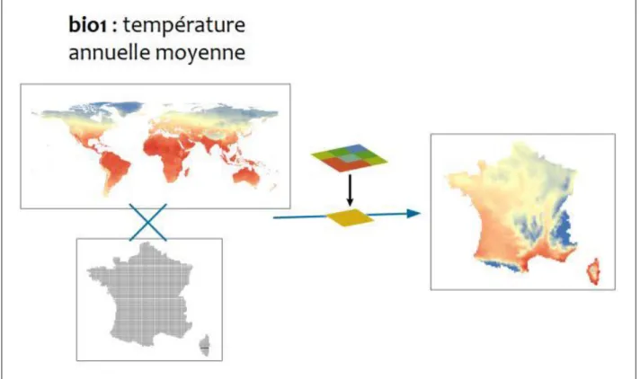Figure 7 Traitement des couches Bioclim pour l’adaptation à l’étendue de la France à une résolution 10x10 km