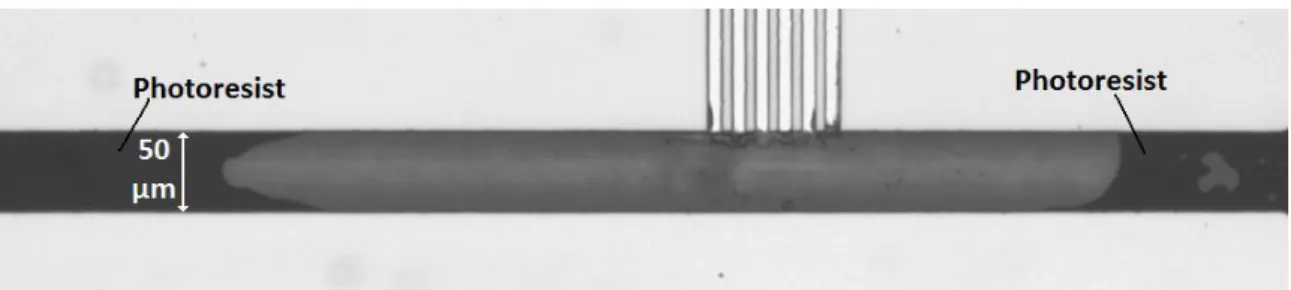 Figure 31: Image of a downstream breather device just before silane vapor deposition.  The  injected photoresist used as a mask is visible in the main channel on both sides of the image