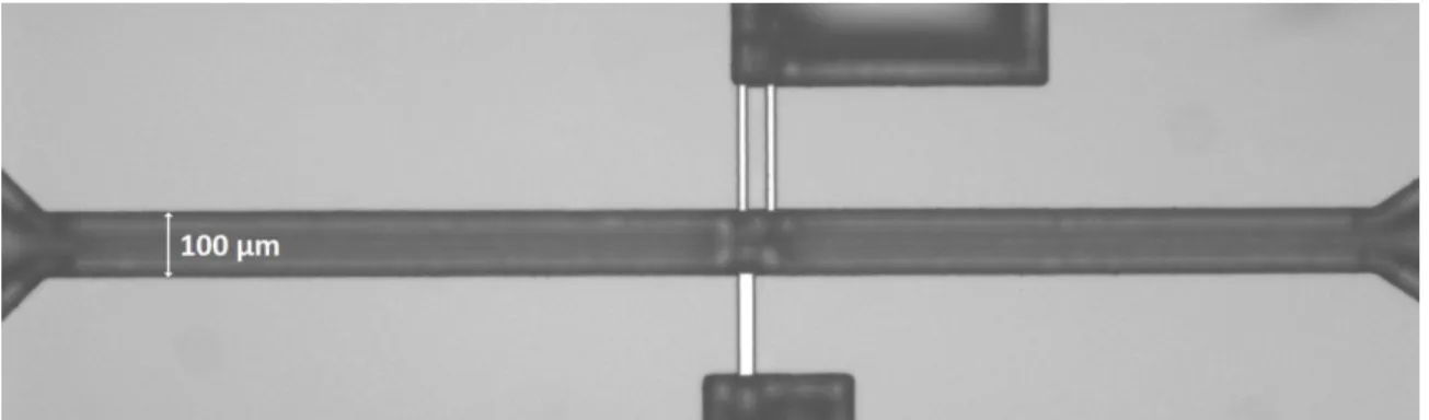 Figure 33: Image of a completed bubble-pass breather device after the hydrophobic deposition