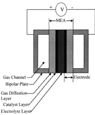Figure 3-1:  Schematic  of a typical  membrane electrode  assembly  (MEA)